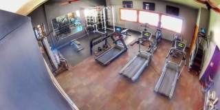 Chateau Knoll Gallery 38