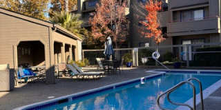 330 Seagull Row Gallery 14