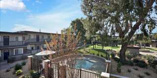 Tierra Palms Gallery 81