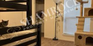 Park Place Duplex Gallery 10