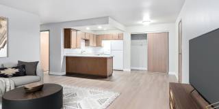 South Towne Village Gallery 26