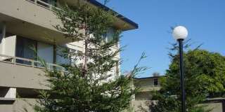 Montoya Garden Apartments Gallery 11