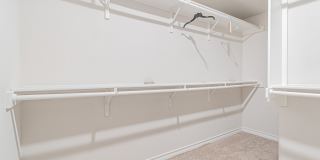 7019 CAPELLA CV Gallery 23