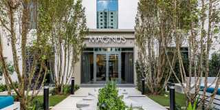 Magnus Brickell Gallery 1