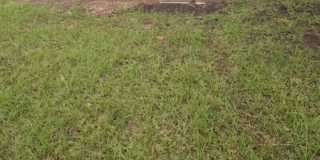 148 Lancelot Circle Gallery 2