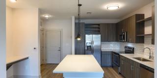 The Patton Gallery 84