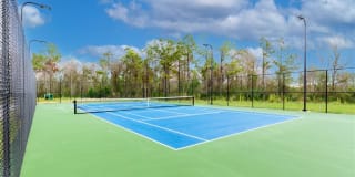 Hawthorne at Pine Forest Gallery 28