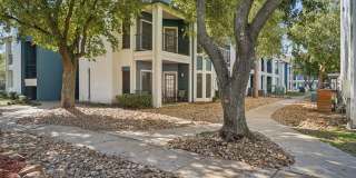 Derby at Steeplechase Gallery 22