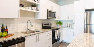 Windsor 335 Gallery 12
