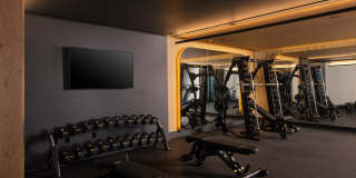 Levels at LoSo Gallery 31