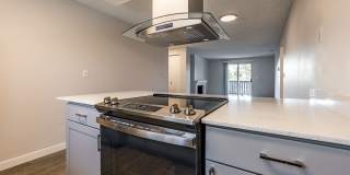 1202 Pearl Gallery 1