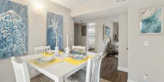 Sea Oats Sea Oats Gallery 85