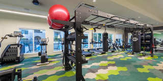 Altura at the Groves Gallery 19