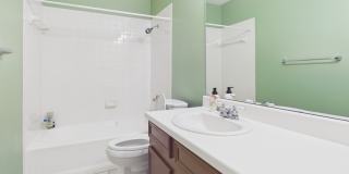 4409 Twisted Tree Dr Gallery 21