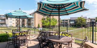 The Falls Gallery 19