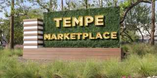 Camden Tempe Gallery 82