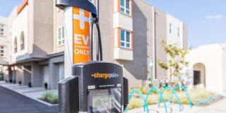 The Seaton Gallery 22