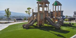 Carson Hills Gallery 24