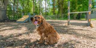 Aspen Chase & Alpine Commons Gallery 21