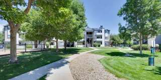 Cottonwood Creek Gallery 21