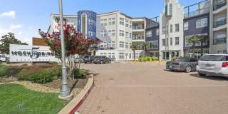 5 Mockingbird Gallery 43