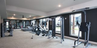 White Palm Gallery 21