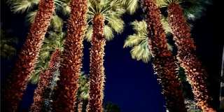 78130 Cortez Lane Gallery 10