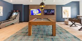 Windsor 335 Gallery 28