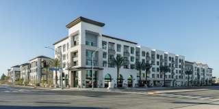 ZIA Apartments Gallery 8
