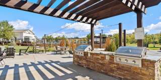 Kinsley Forest Gallery 29