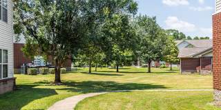 Sentinel of Conway Gallery 21