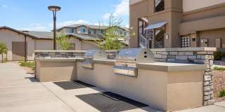 Prose Ascend Gallery 43