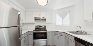 Renew on Summerfield Gallery 4