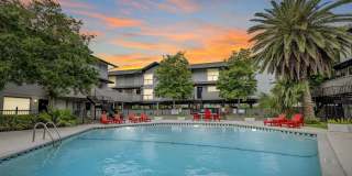 4443 Ocean Drive Gallery 1