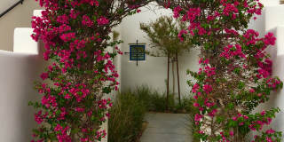 77777 Tradition Dr Gallery 31