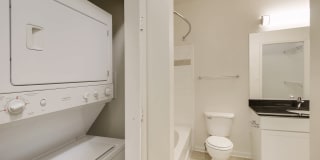 Carlyle Mill Gallery 41