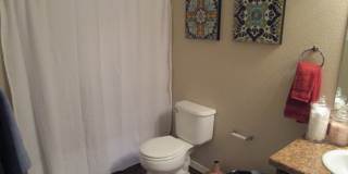 Quail Creek Gallery 18