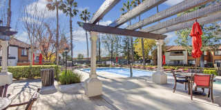 Castlepark Gallery 20