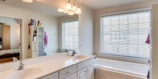 8250 RED CARNATION Court Gallery 23
