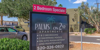 Palms on 2nd Gallery 14