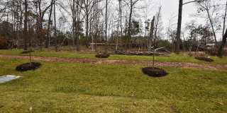 42452 DOGWOOD GLEN Square Gallery 22