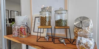 Presidium Revelstoke Gallery 25