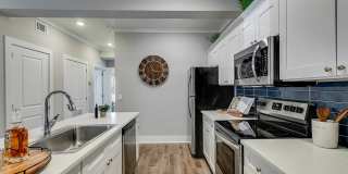 Paragon Luxury Apartments Gallery 21