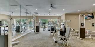 Stone Oak @ Parmer Gallery 48