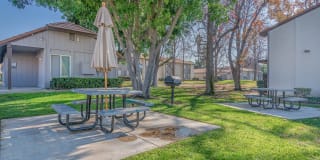 Citrus Grove Apartments Gallery 9