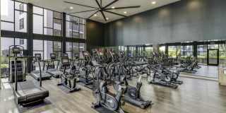 Maxwell at Bascom Maxwell at Bascom Gallery 34