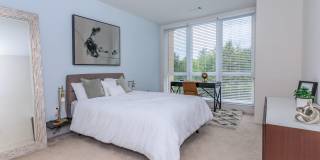 The Waypointe Apartments Gallery 17