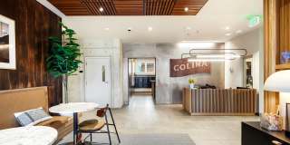 Colina Gallery 28