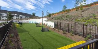 Windsor Rancho PQ Gallery 60