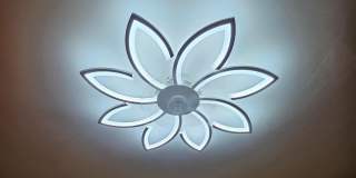 607 S 5th Avenue Gallery 6